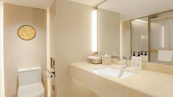 A modern bathroom with a toilet, sink, and mirror.