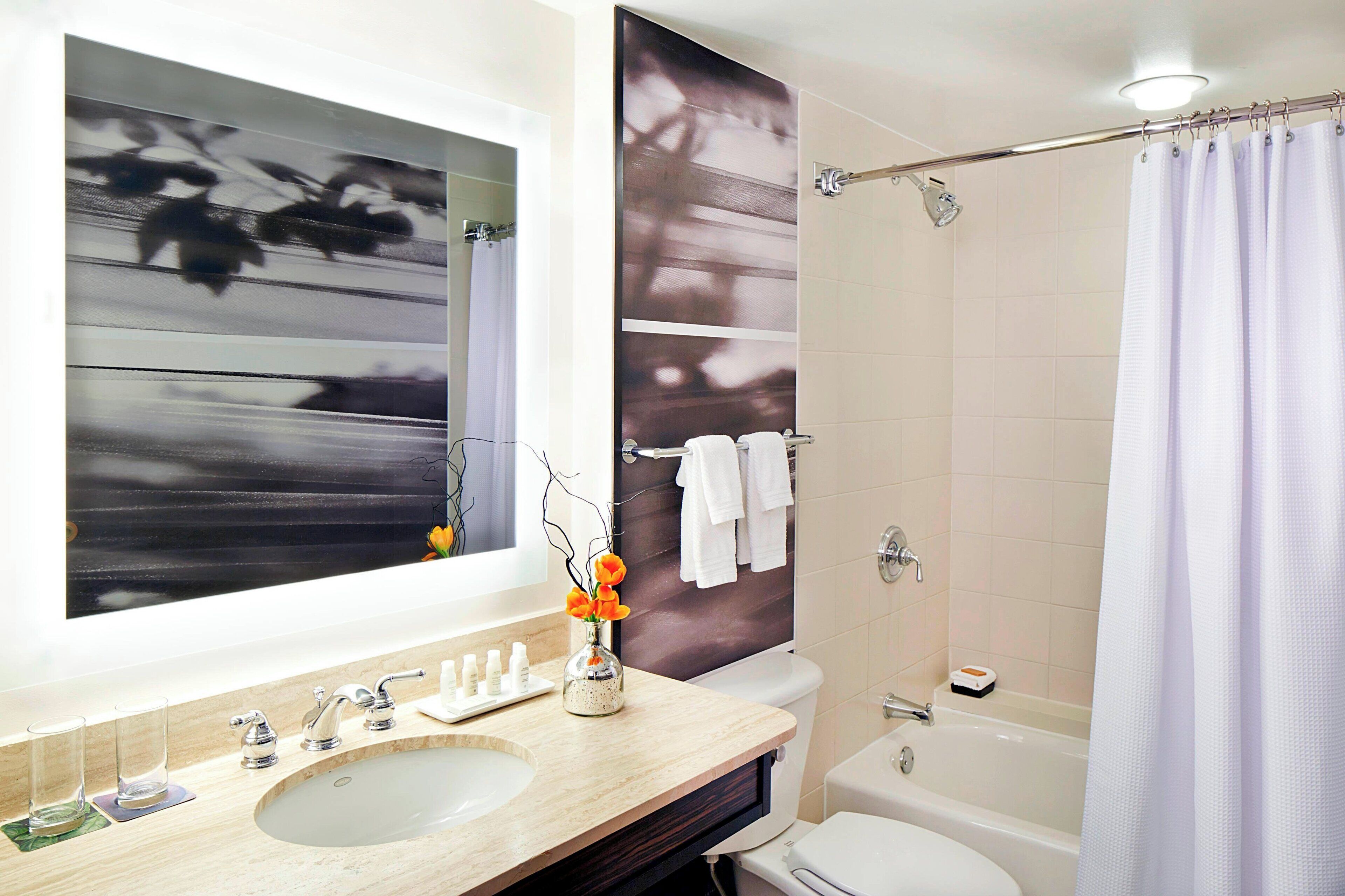 combined shower/bathtub, free toiletries, hair dryer, towels