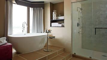 Combined shower/tub, free toiletries, hair dryer, towels