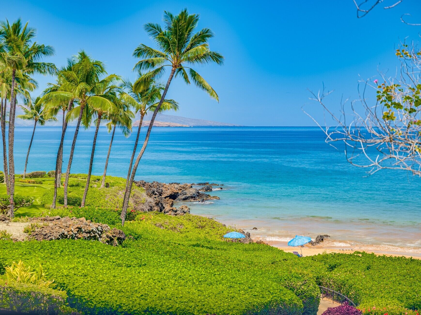 Una playa tropical con palmeras, un litoral rocoso y un océano azul cristalino.