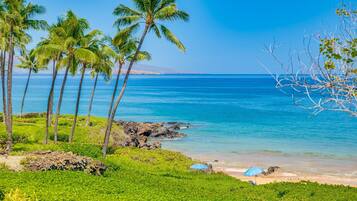 Una playa tropical con palmeras, un litoral rocoso y un océano azul cristalino.