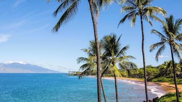 Condo, 2 Bedrooms, Oceanfront (F304) | Property amenity