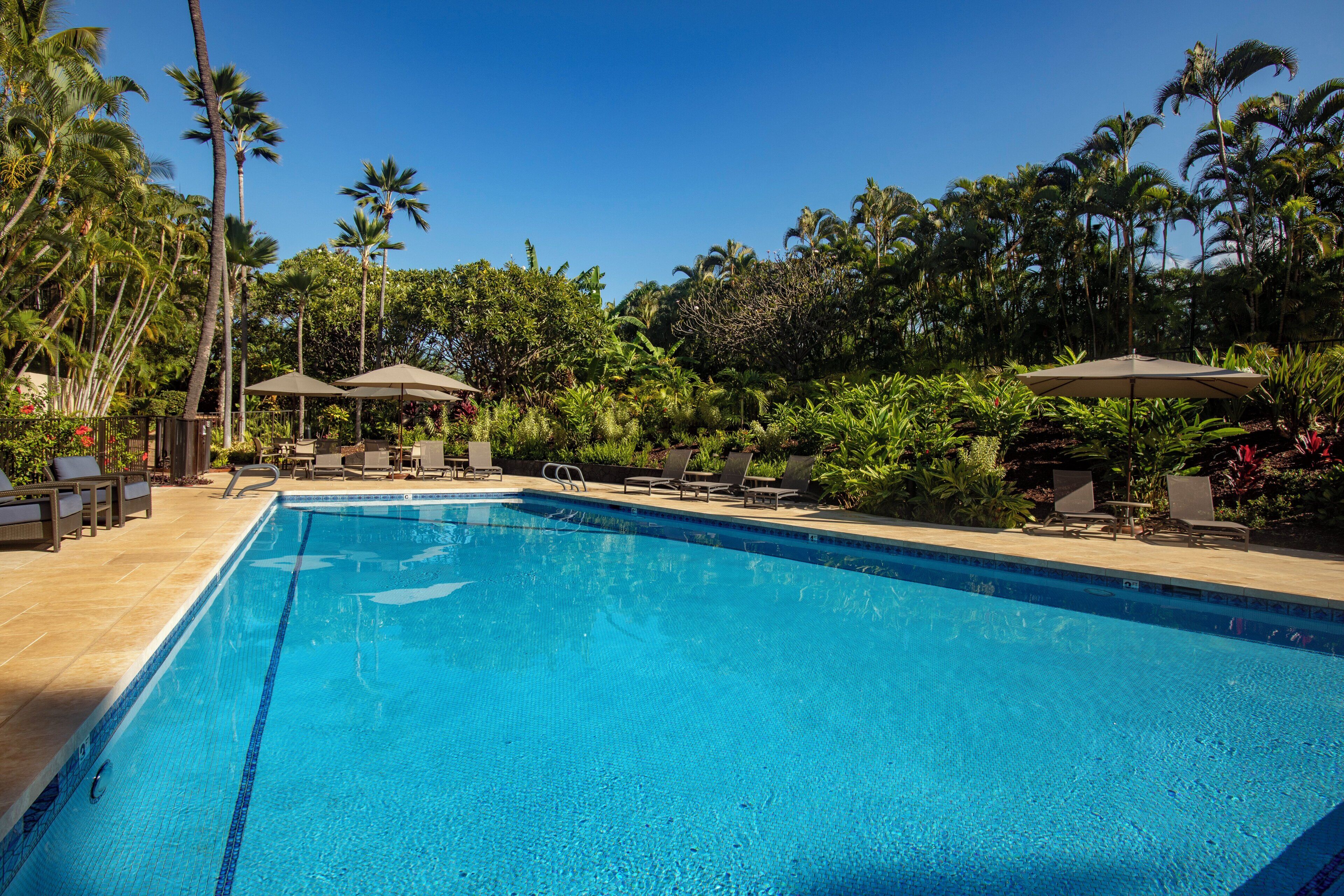 屋外プール、プール パラソル、サンラウンジャー