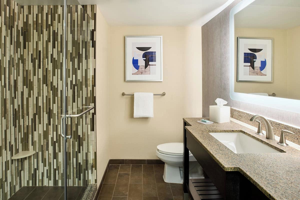 Amenidades de baño gratuitas, secadora de cabello, toallas, jabón