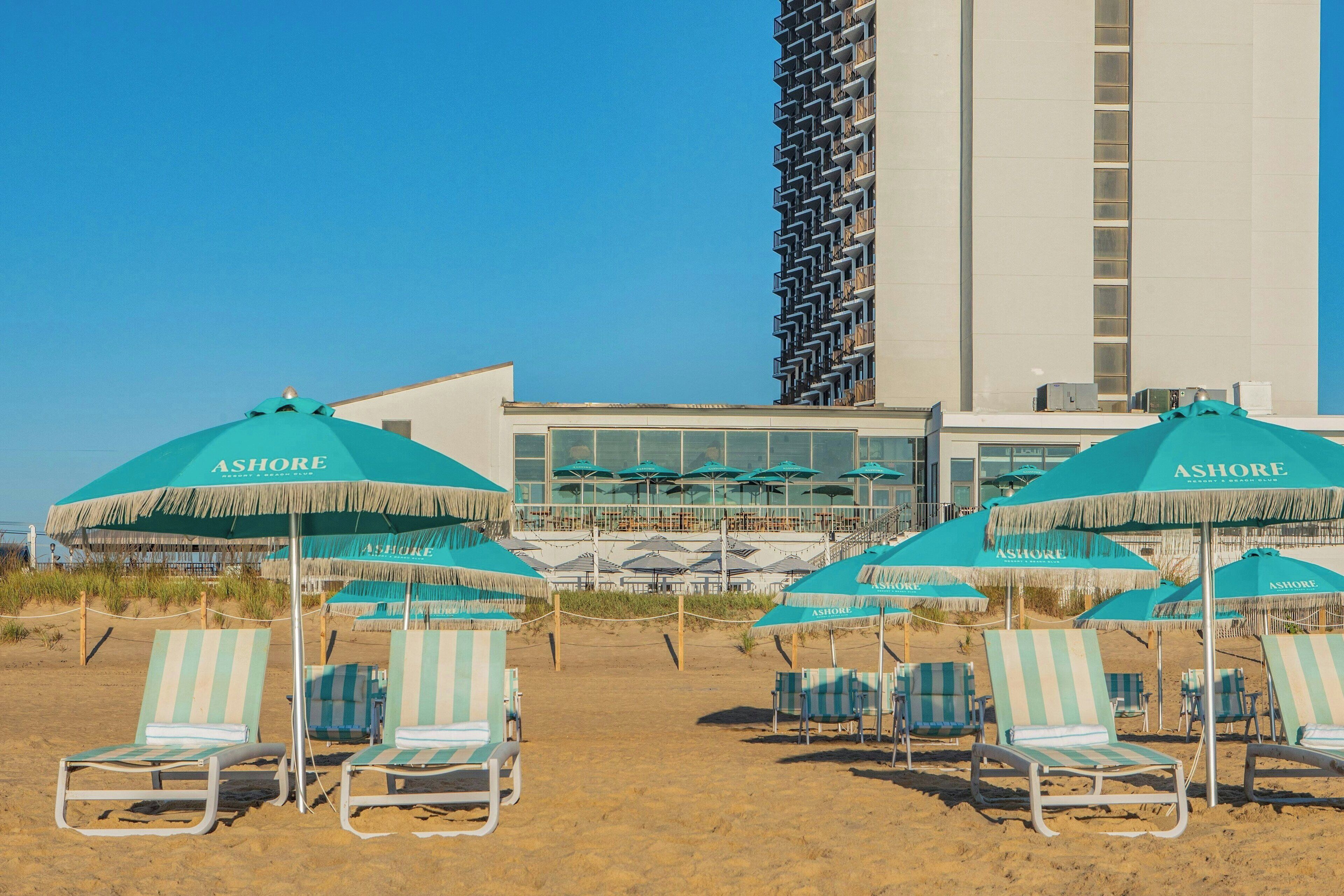 Sillas de playa y sombrillas con la marca 'ASHORE', un edificio moderno con fachada estampada y un cielo azul despejado.
