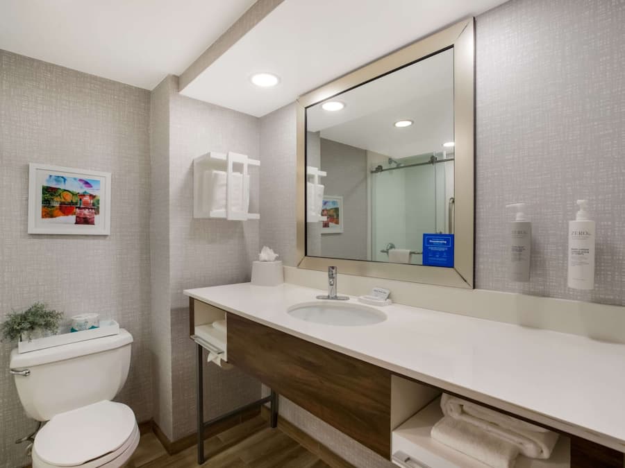 Un baño moderno con un lavamanos blanco, un espejo grande y un inodoro. Hay un cuadro en la pared y una planta pequeña sobre el inodoro.