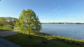 A park with a large tree, benches, and a body of water.