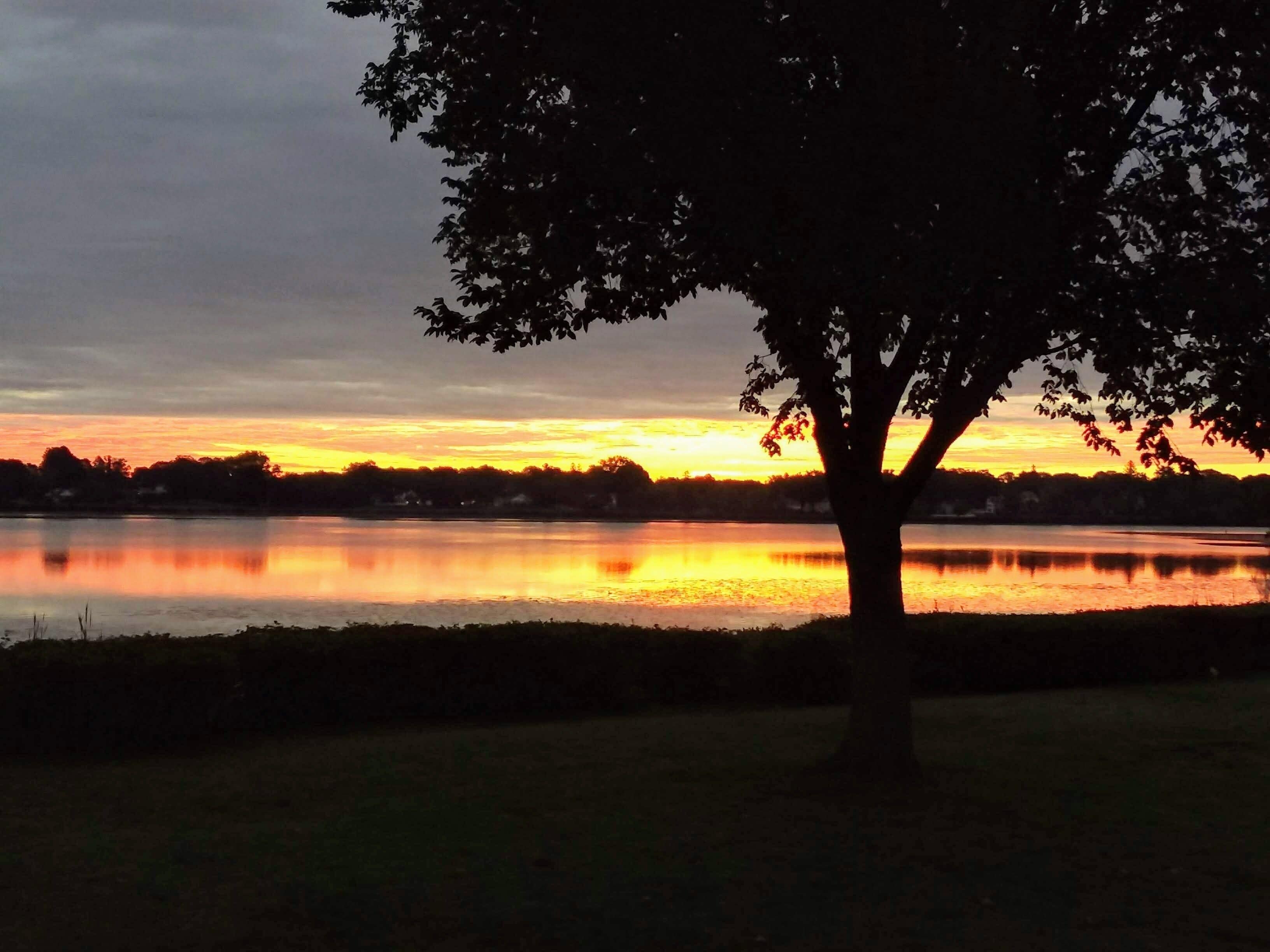 Puisto, jossa on yksi puu ja taustalla auringonlasku.