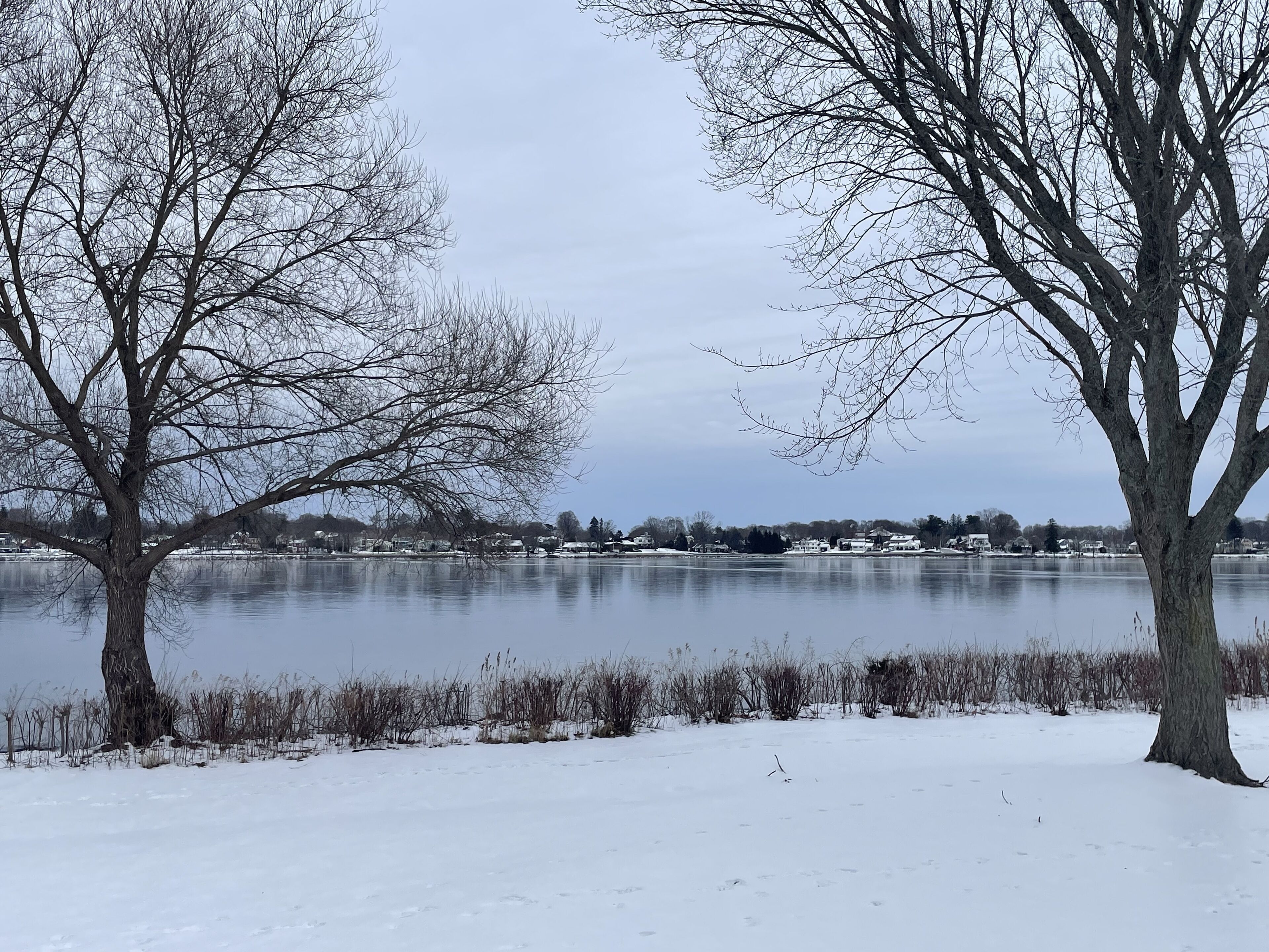 Un paysage enneigé, avec des arbres et un lac paisible.