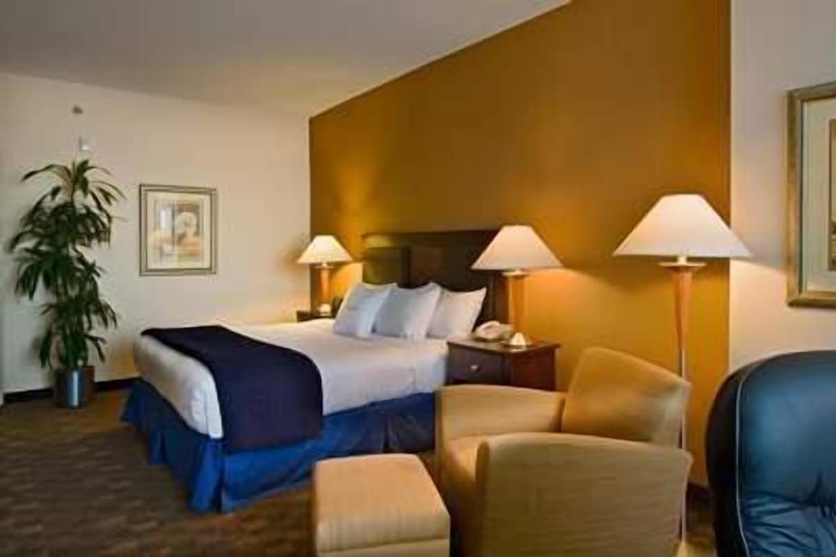 Suite, 1 King Bed | In-room safe, desk, blackout drapes, iron/ironing board