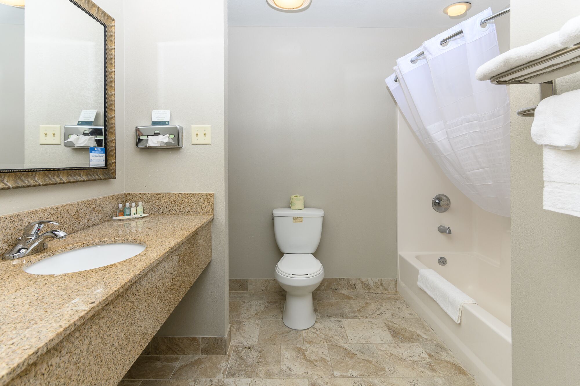 Ein Badezimmer mit Waschbecken aus Granit, Toilette und Badewanne mit Duschvorhang.