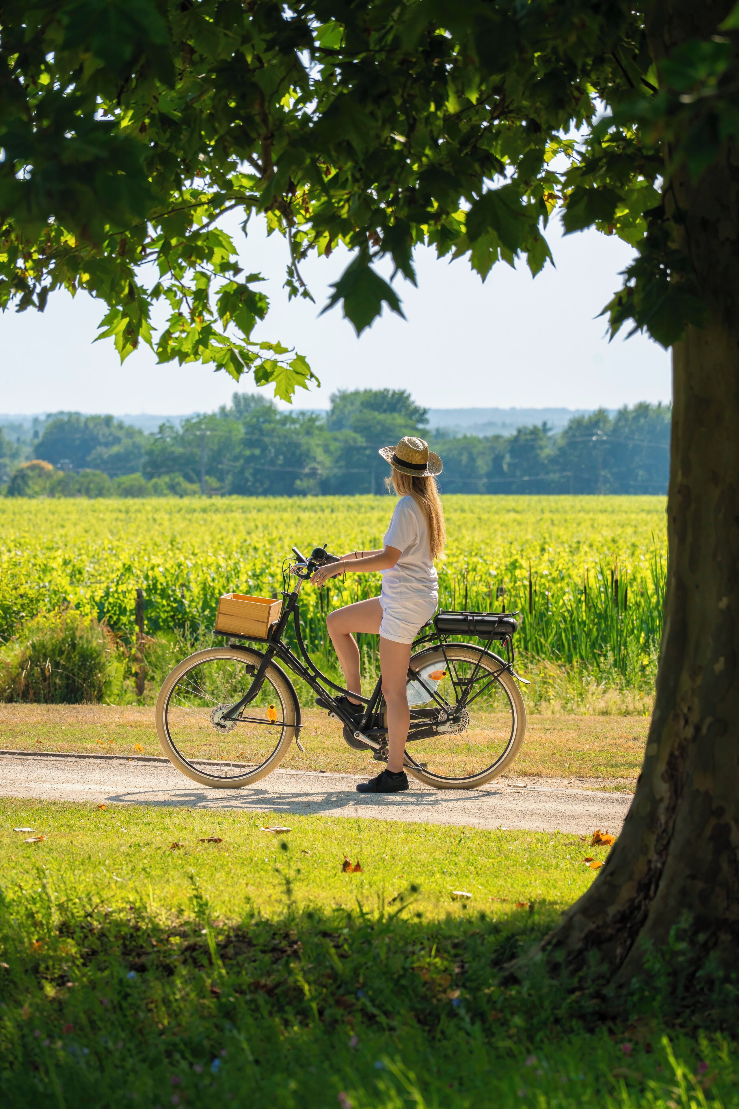 A person standing next to a bicycle on a path with a field in the background.