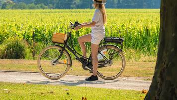 A person standing next to a bicycle on a path with a field in the background.