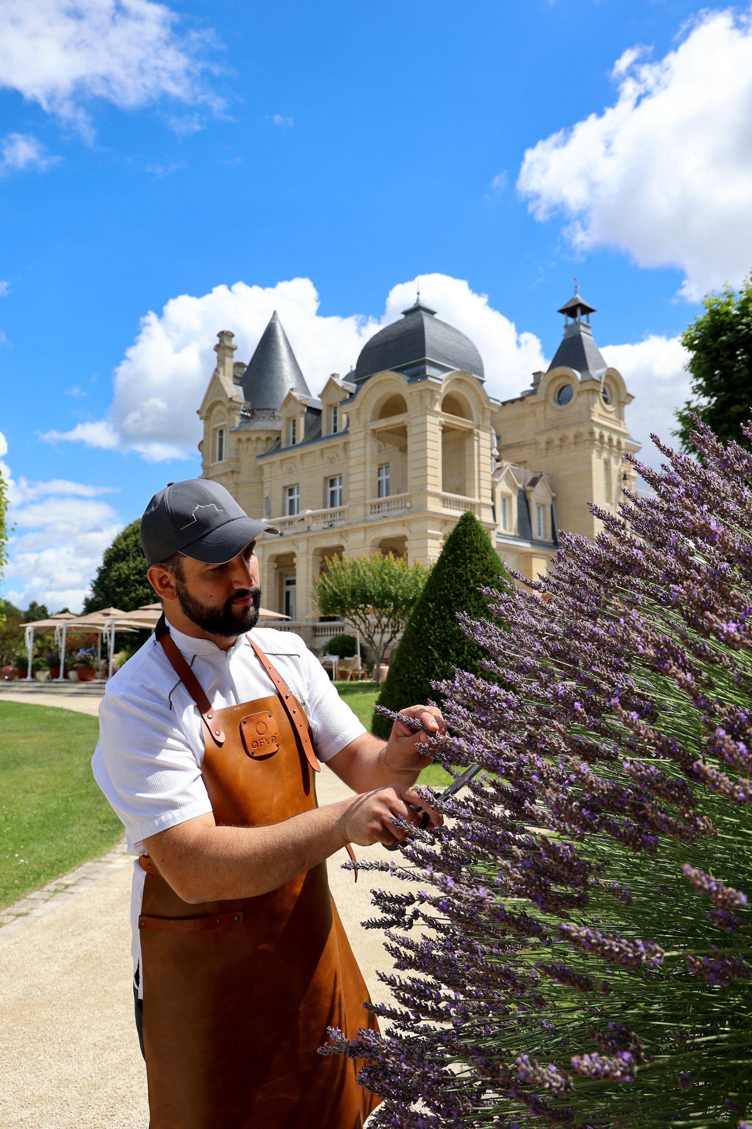 french cuisine, garden views