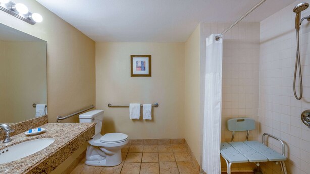 A bathroom with a sink, toilet, shower, and a wheelchair-accessible bench. - Safety Harbor Resort & Spa Trademark Collection by Wyndham (Safety Harbor)
