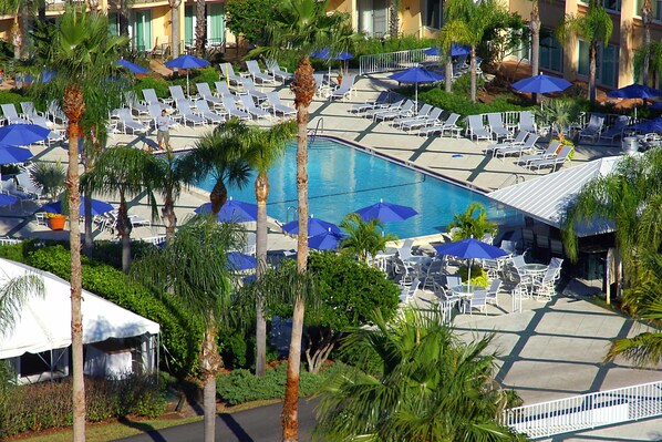 Piscine couverte, piscine extérieure, parasols de plage, chaises longues