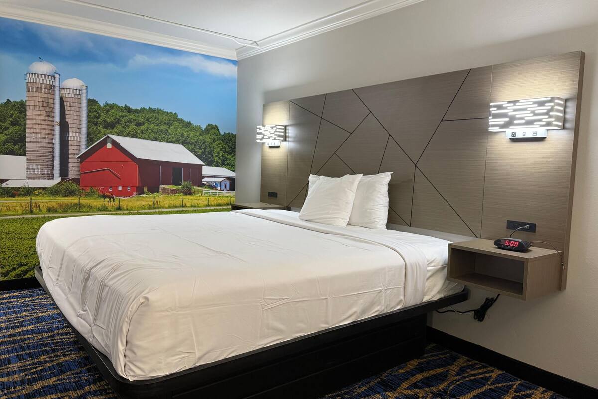 A hotel room with a large bed, a headboard with geometric patterns, a bedside table with a clock, and a mural of a farm scene.