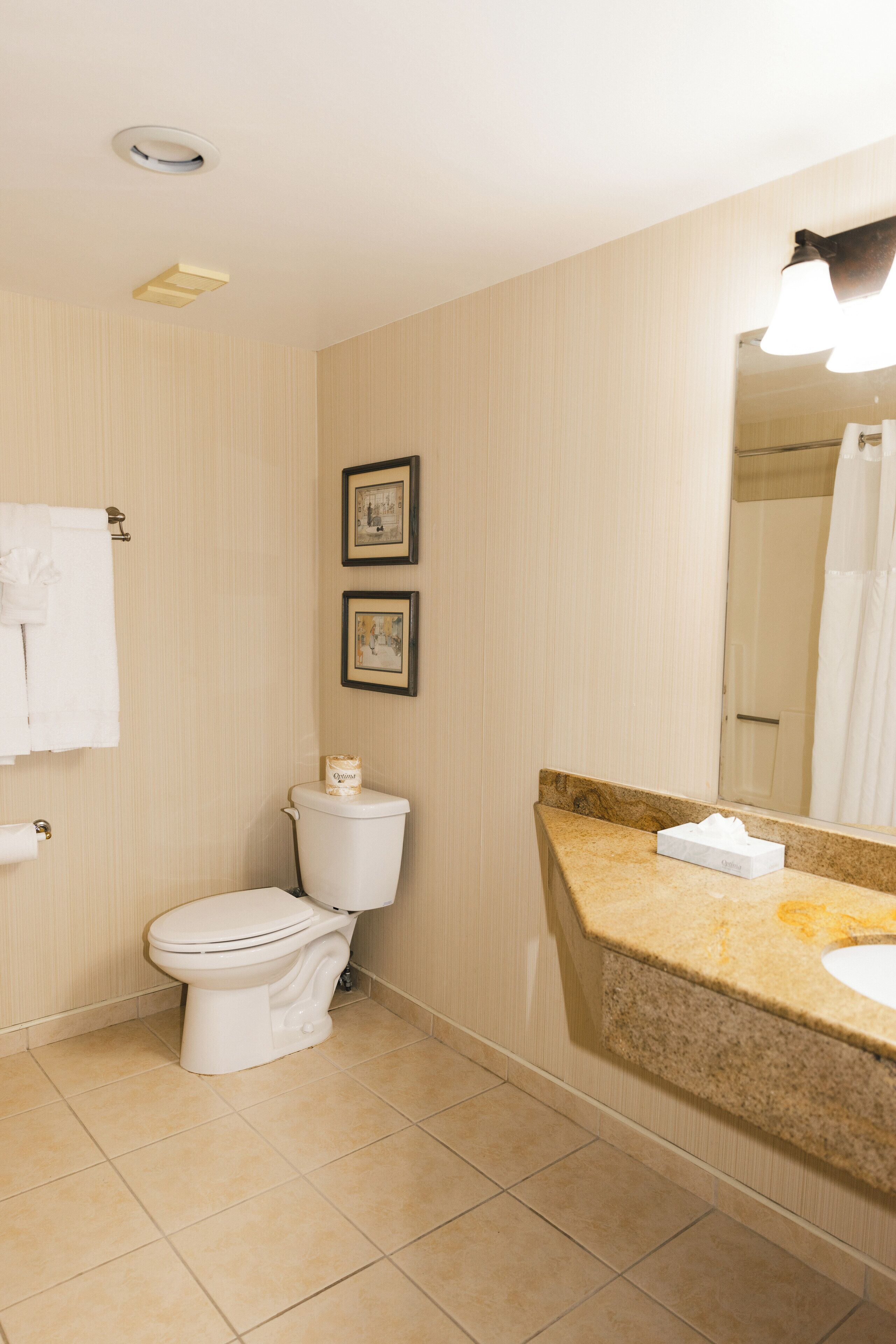 A bathroom with a toilet, sink, and mirror. There are two framed pictures on the wall and a towel rack with towels.