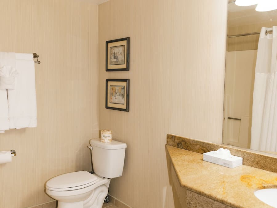 A bathroom with a toilet, sink, and mirror. There are two framed pictures on the wall and a towel rack with towels.
