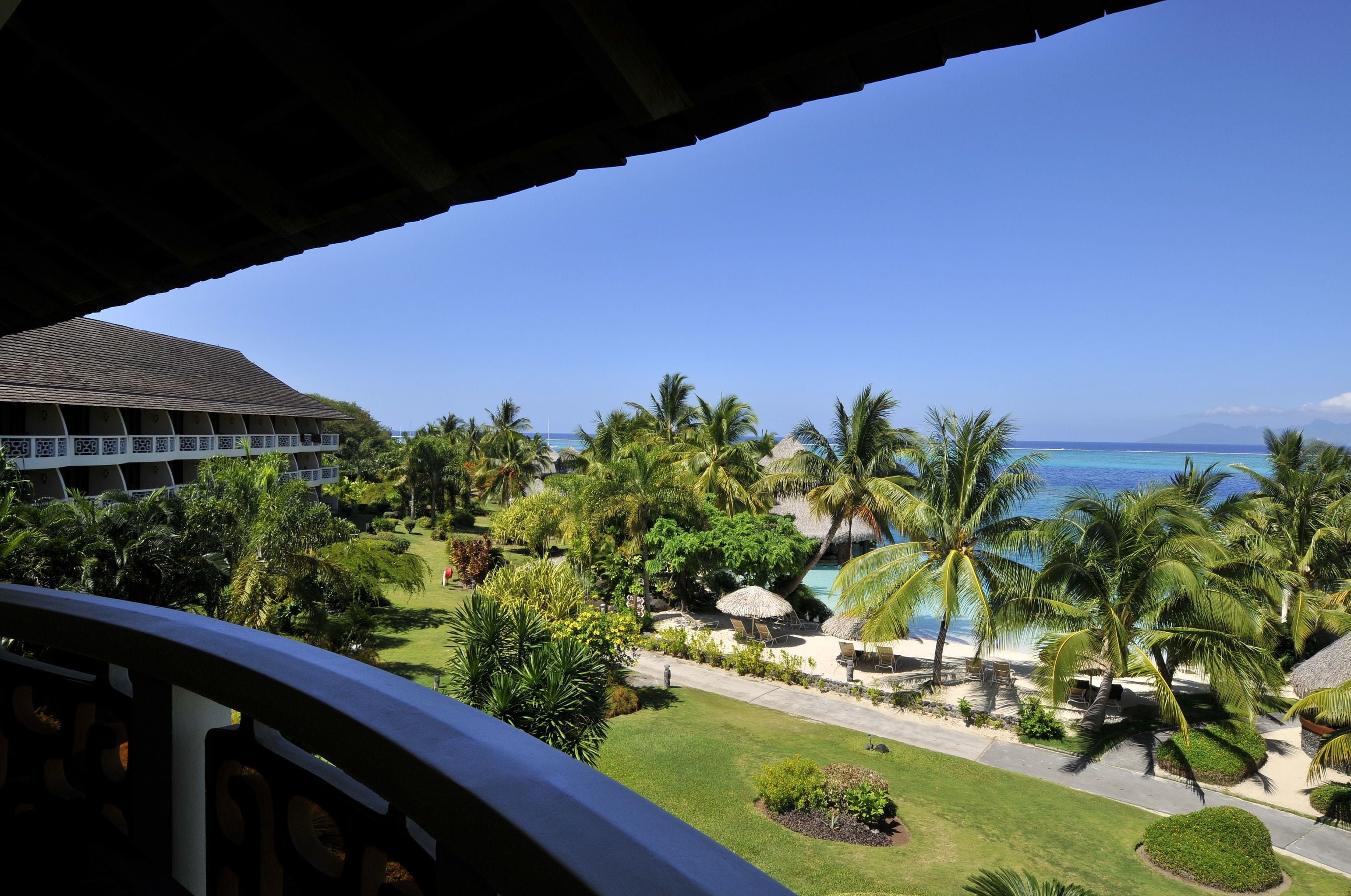 A resort with a pool area, palm trees, and a view of the ocean.