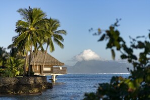 Premium Bungalow, 1 King Bed, Overwater (Moorea Island View) | Premium bedding, down comforters, memory foam beds, minibar