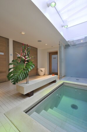 A modern bathroom with a glass-enclosed shower, a large plant, and a built-in jacuzzi.