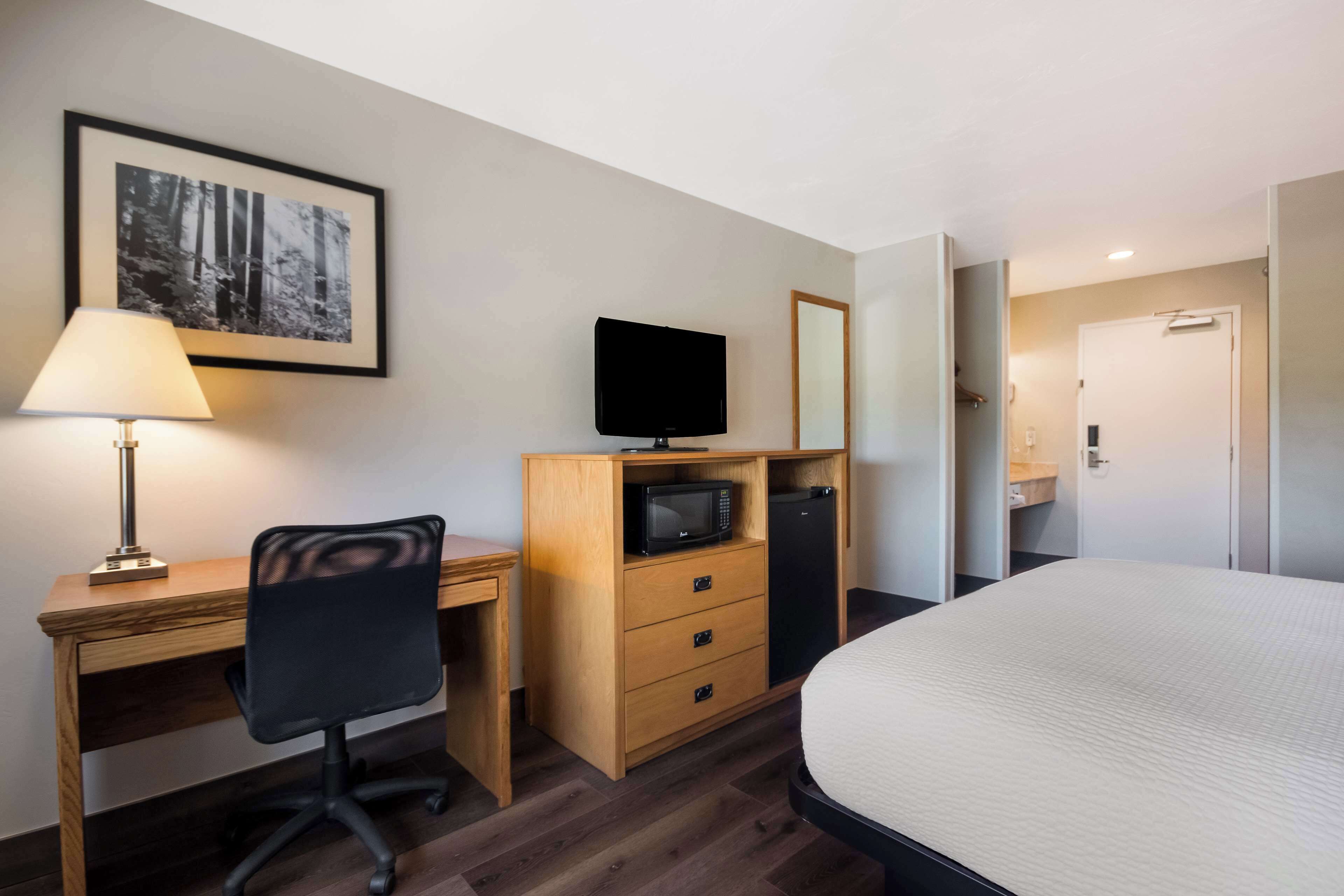 A hotel room with a wooden desk, a black office chair, a television, a microwave, a refrigerator, a bed, and a framed picture on the wall.