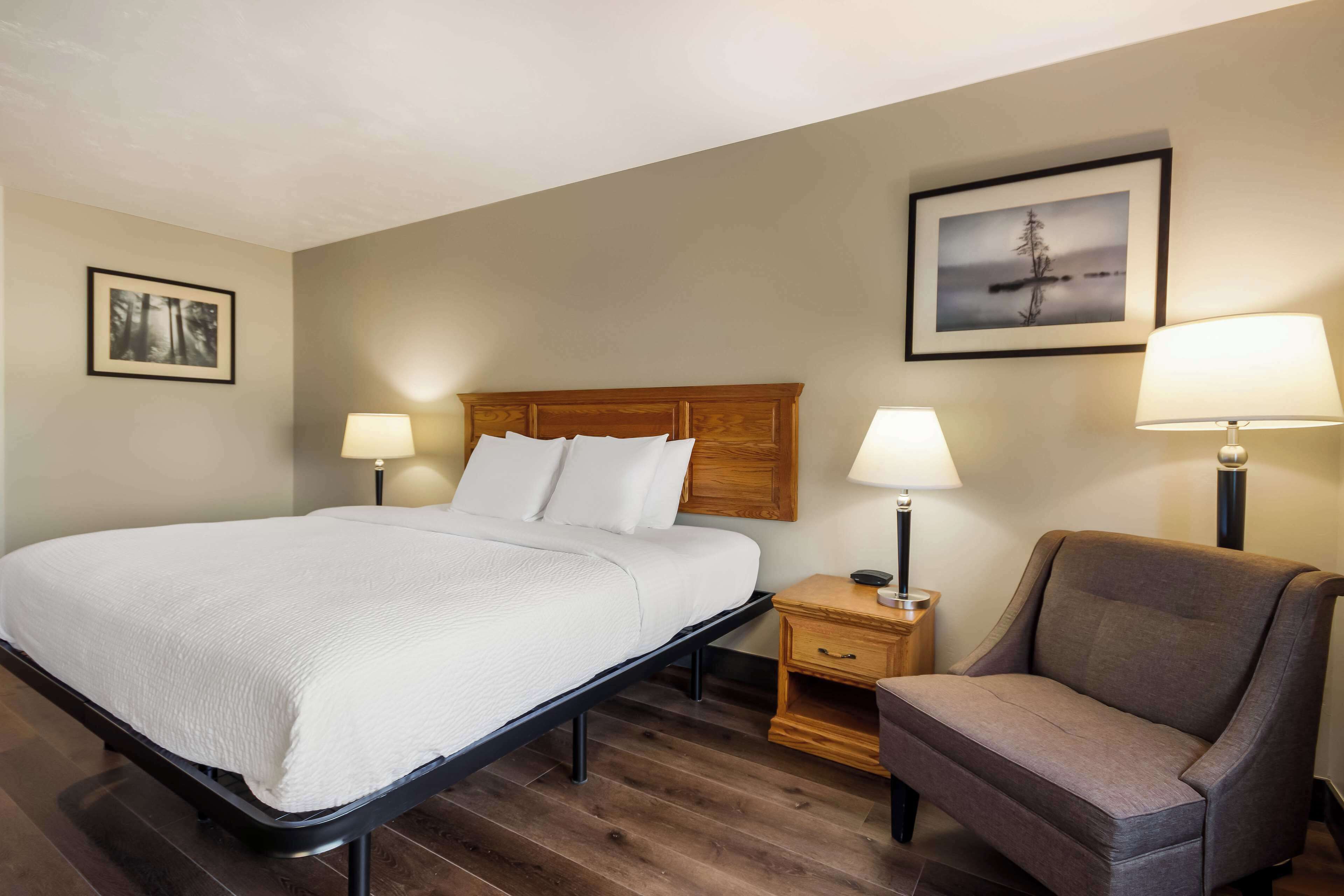 Habitación de hotel con una cama, dos lámparas de noche, una mesita de noche, una silla y dos cuadros en la pared.