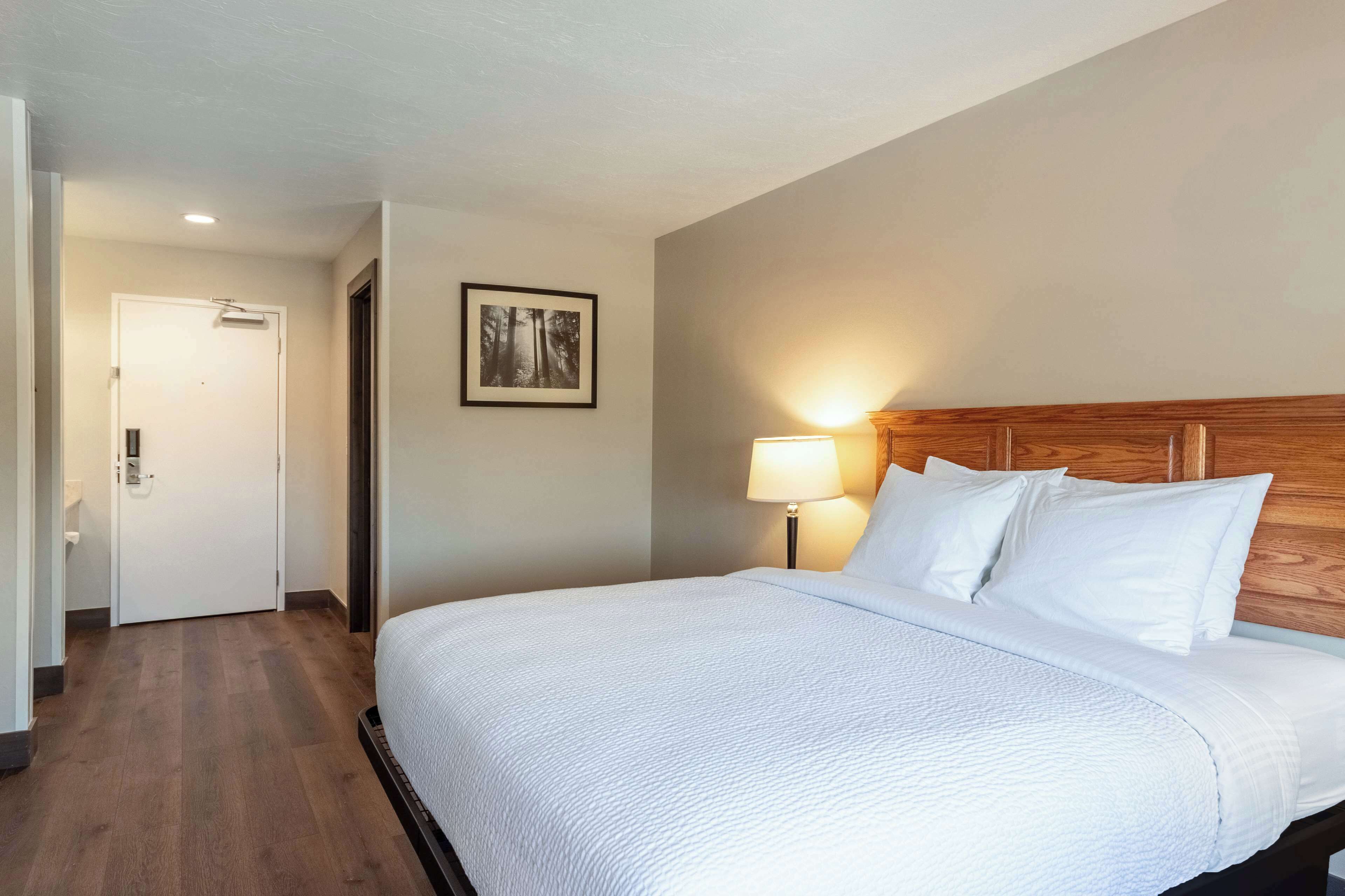 A hotel room with a large bed, a wooden headboard, a bedside lamp, and a door.