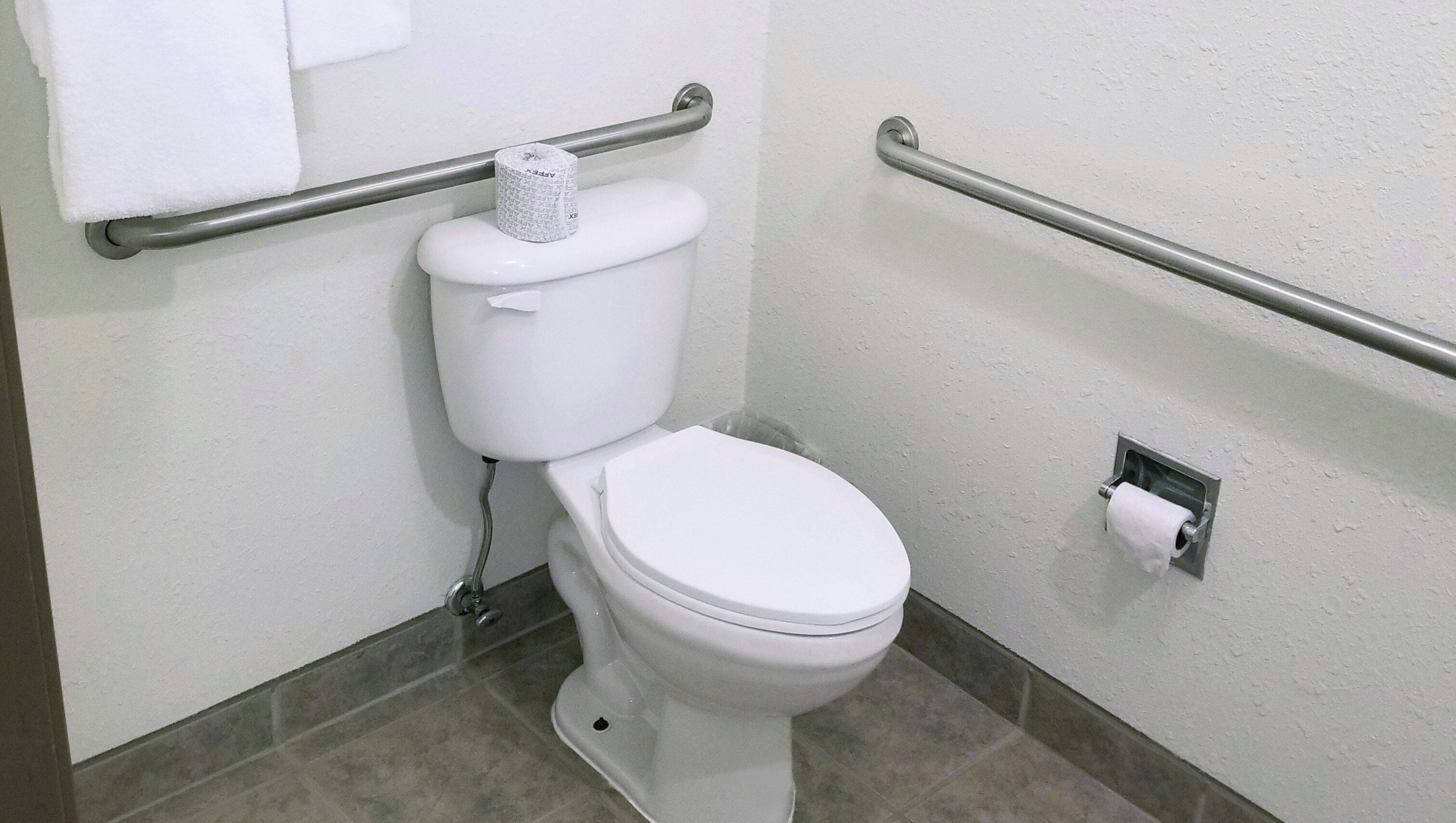 Traditional Room, 1 King Bed, Accessible, Non Smoking | Bathroom