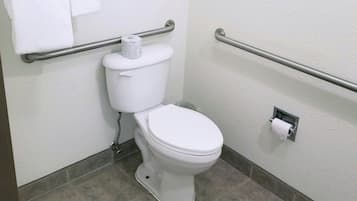 Traditional Room, 1 King Bed, Accessible, Non Smoking | Bathroom