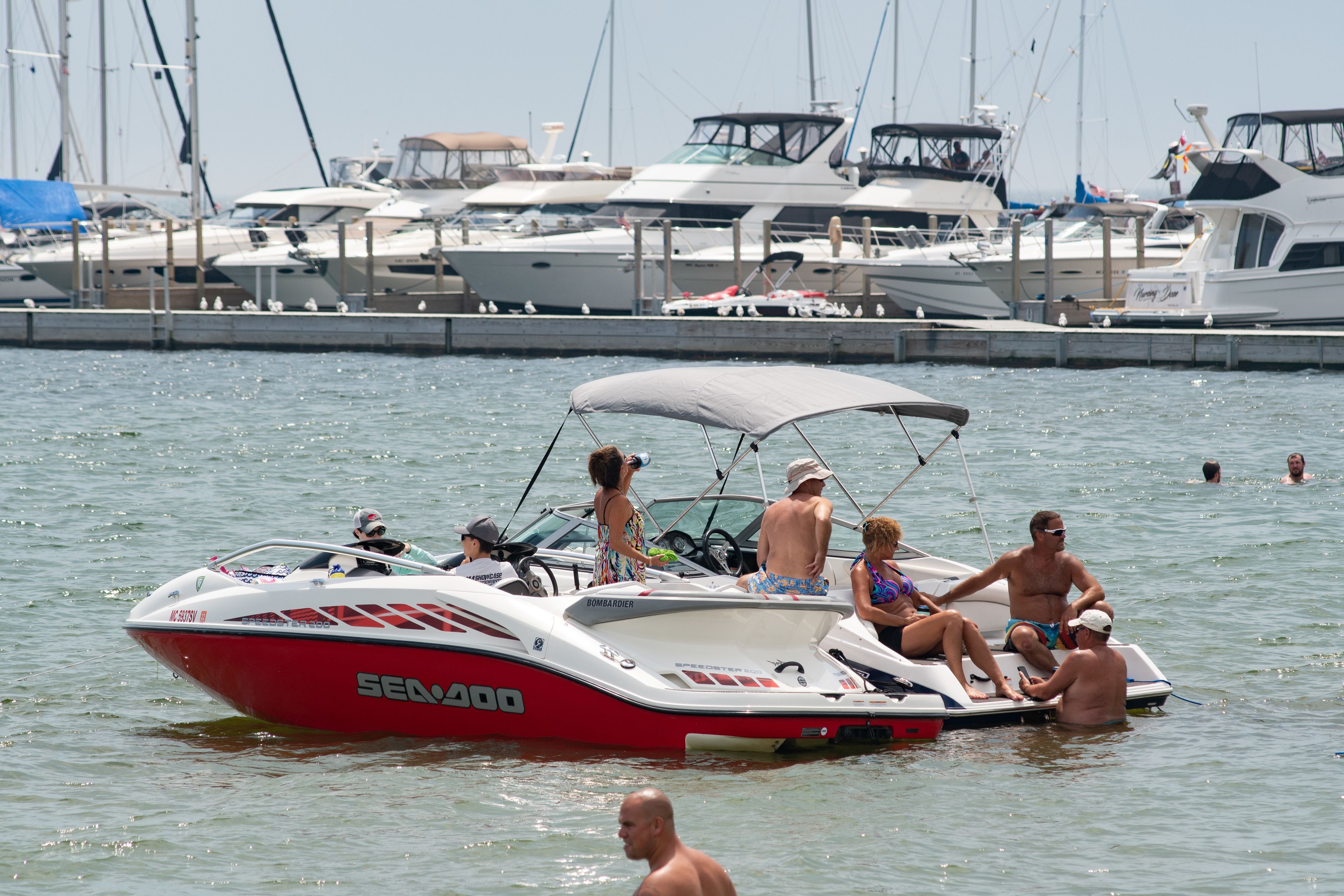 Un bateau à moteur rapide, transportant des passagers, était amarré dans une marina, à côté d’autres bateaux.
