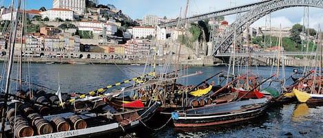 Vista desde la propiedad