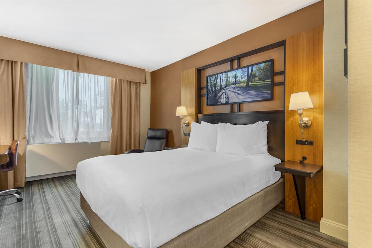 Standard Studio, 1 Queen Bed, Non Smoking, Refrigerator & Microwave