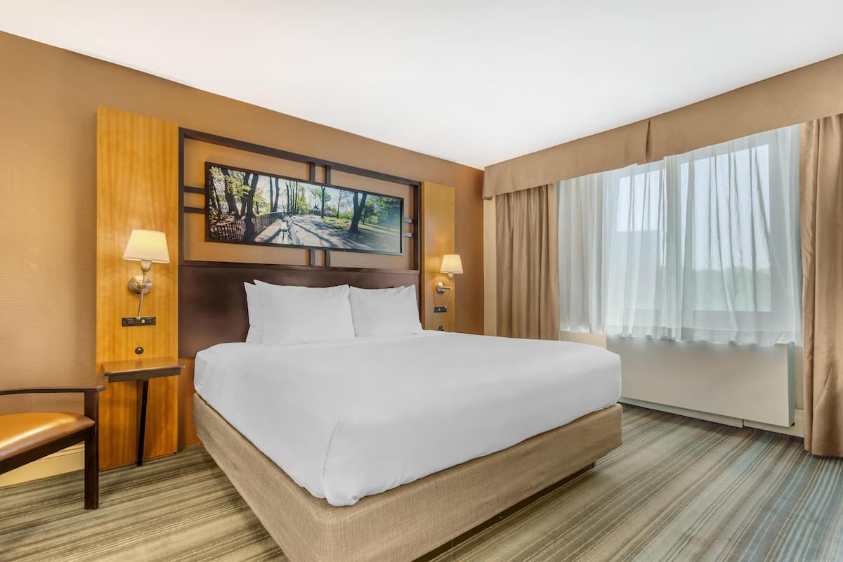 Standard Room, 1 King Bed, Non Smoking, Refrigerator & Microwave