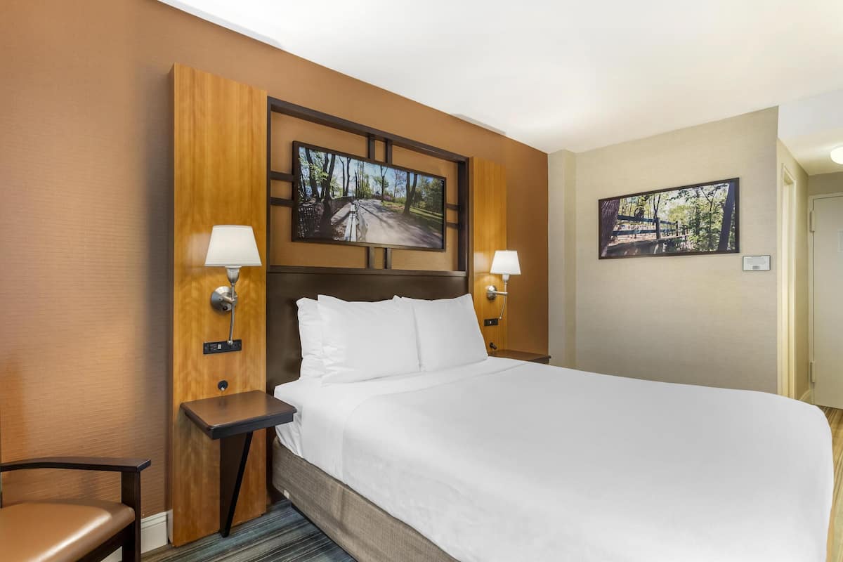 Standard Room, 1 Queen Bed, Non Smoking, Refrigerator & Microwave