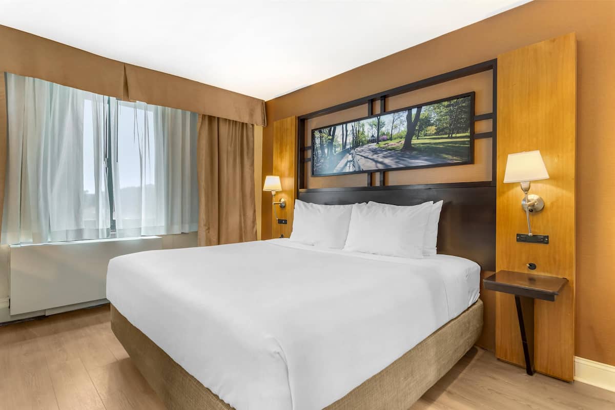 Standard Room, 1 King Bed, Non Smoking, Jetted Tub
