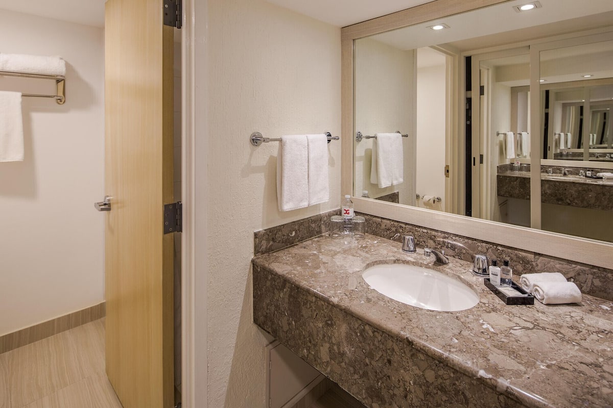Bathroom | Combined shower/tub, free toiletries, hair dryer, towels