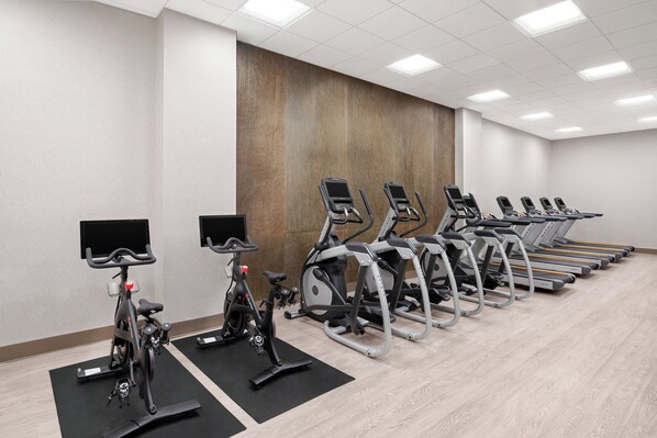 Un gimnasio con bicicletas estáticas, elípticas y cintas de correr dispuestas en filas.