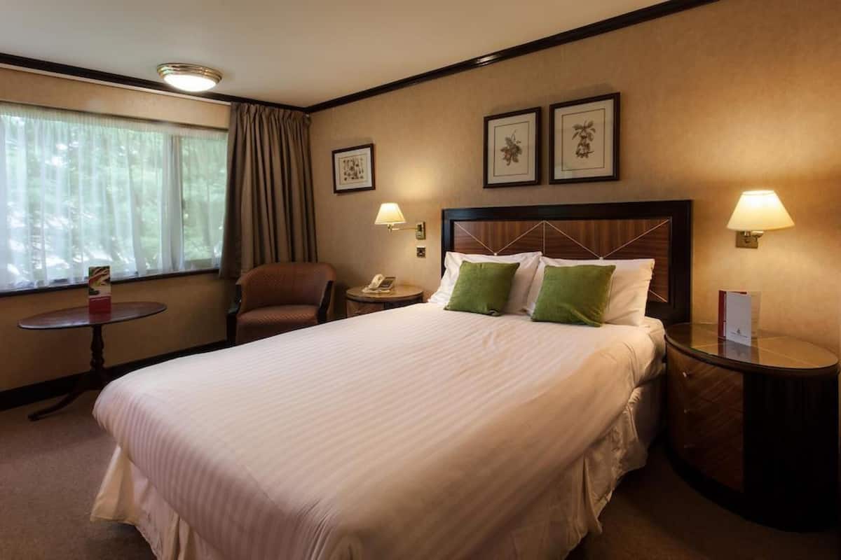 Desk, WiFi, bed sheets