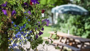 Een tuin met paarse bloemen en een houten bank.