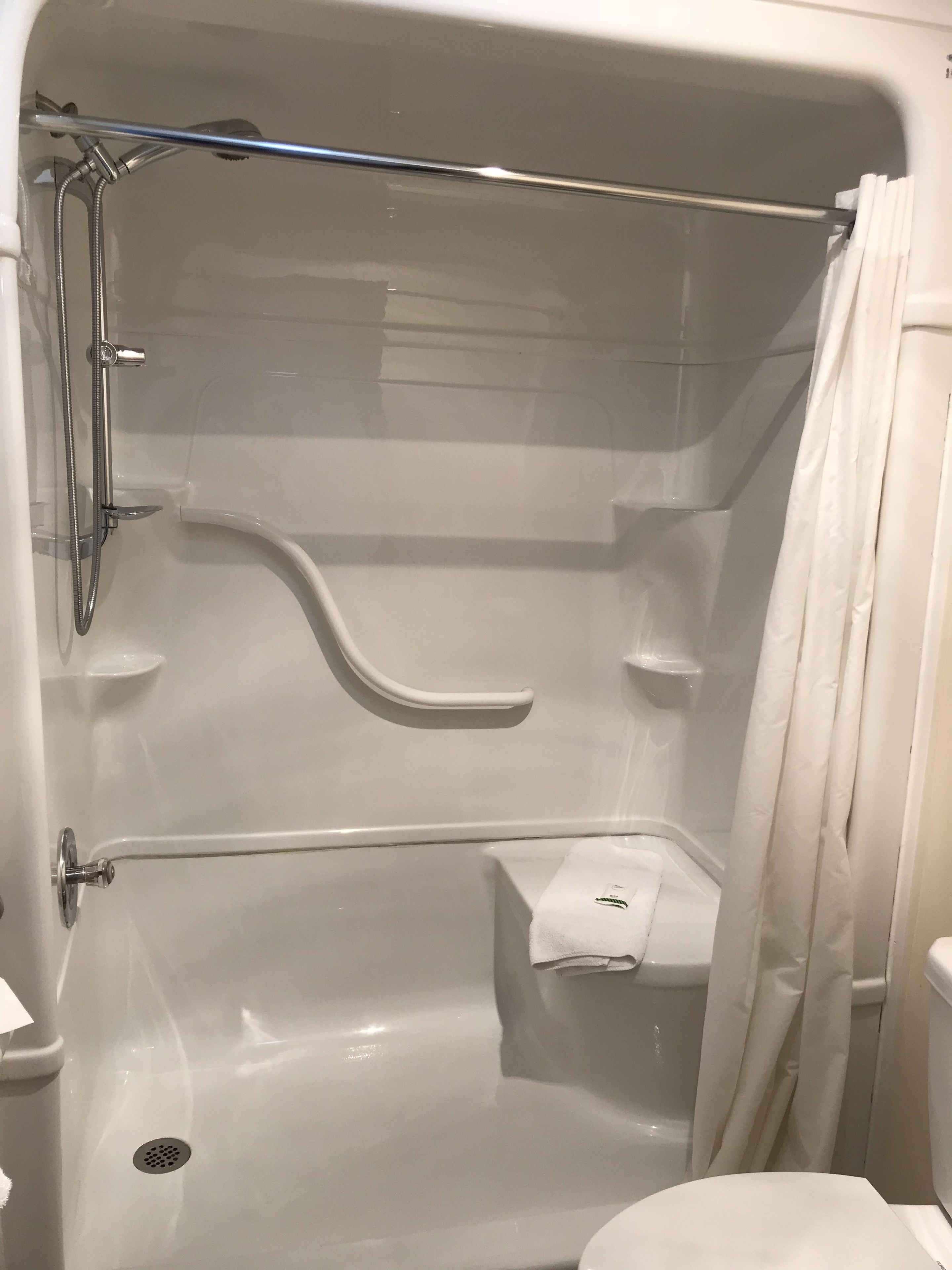 A walk-in shower with a glass door, a handheld showerhead, a towel rack, and a toilet.