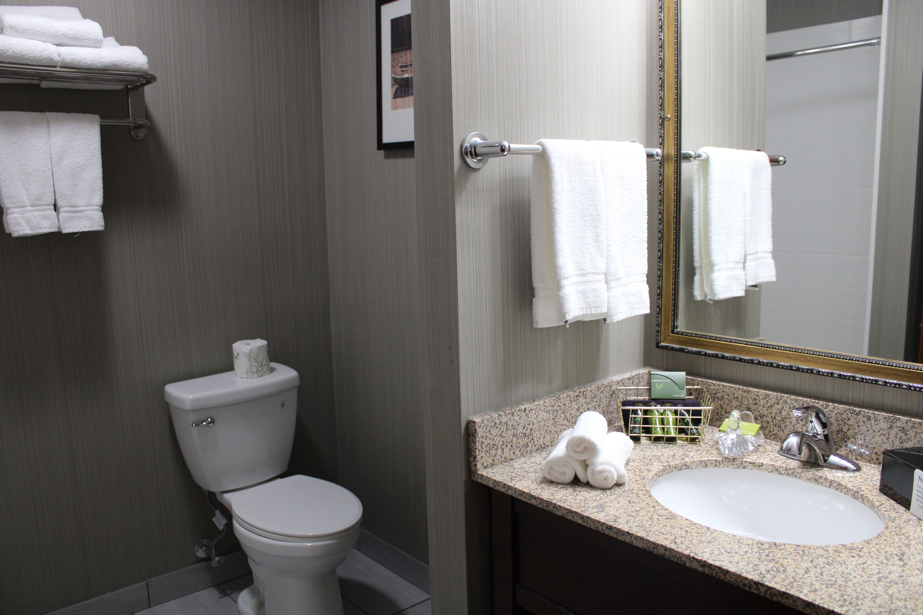 A bathroom with a toilet, sink, and towel rack.
