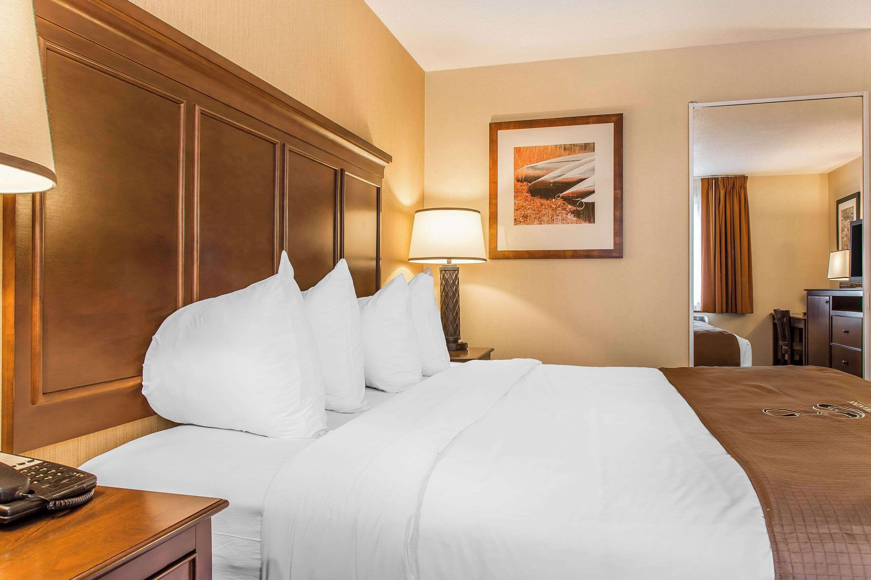 non lakeside standard room, 1 king bed | premium bedding, desk, laptop workspace, blackout curtains