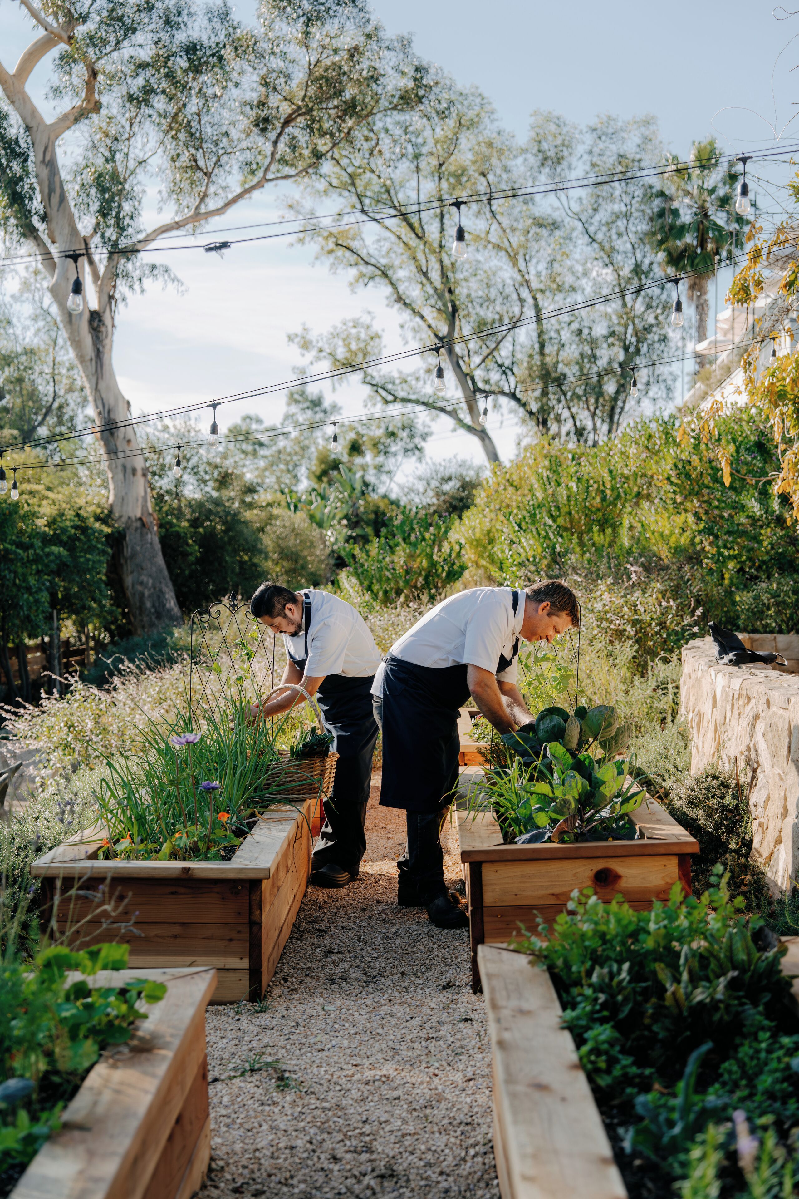Foto - El Encanto Santa Barbara