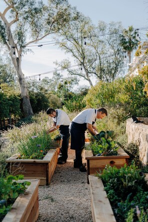 Two individuals tending to plants in a garden with wooden planters and a gravel path.