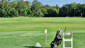Players can tee off in a serene natural setting surrounded by lush greenery.