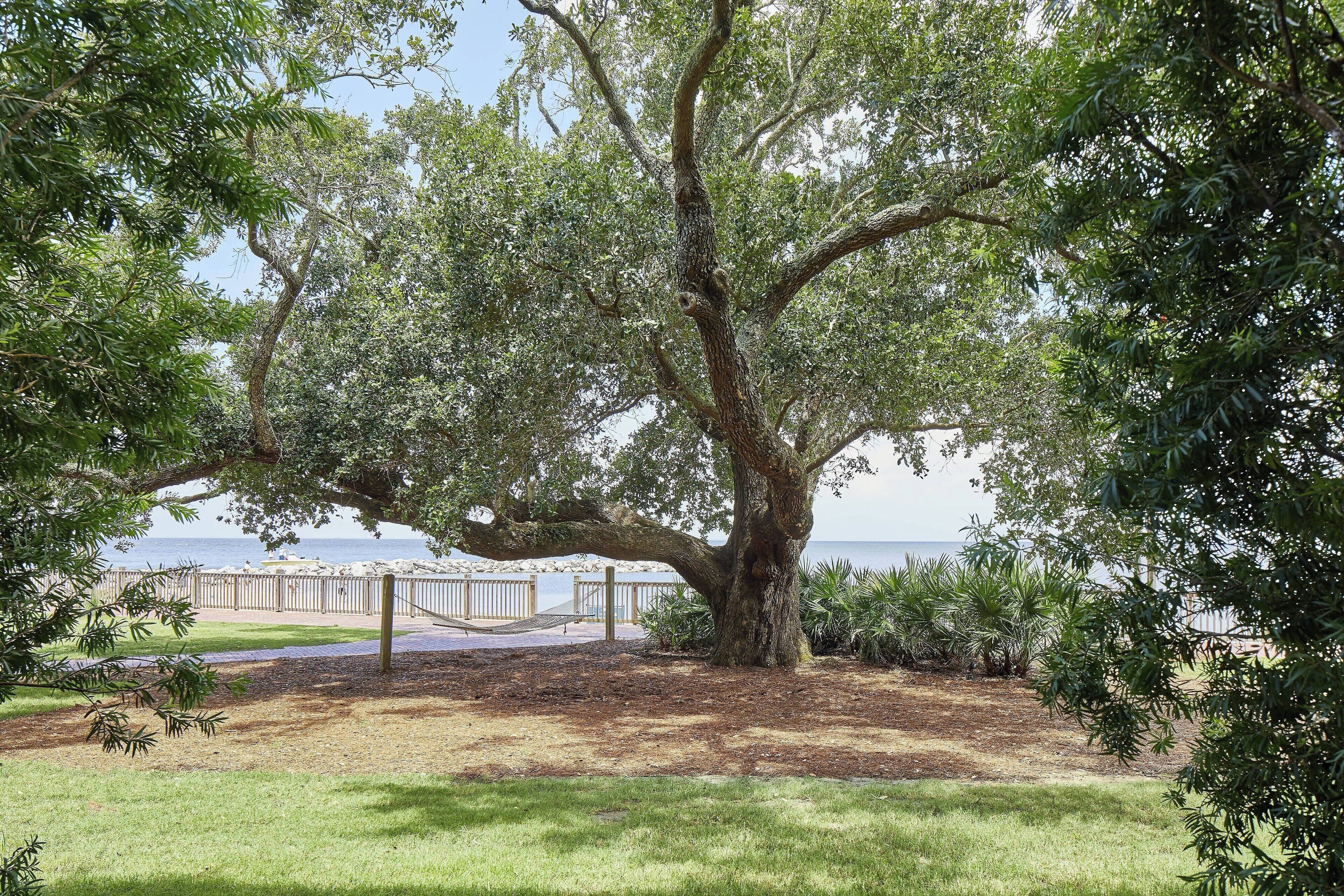 premium bedding, in-room safe, desk, blackout curtains