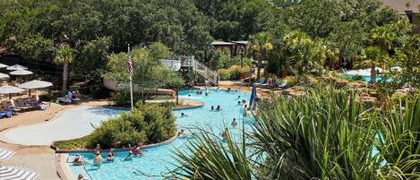 A large outdoor swimming pool surrounded by palm trees and lounge chairs.