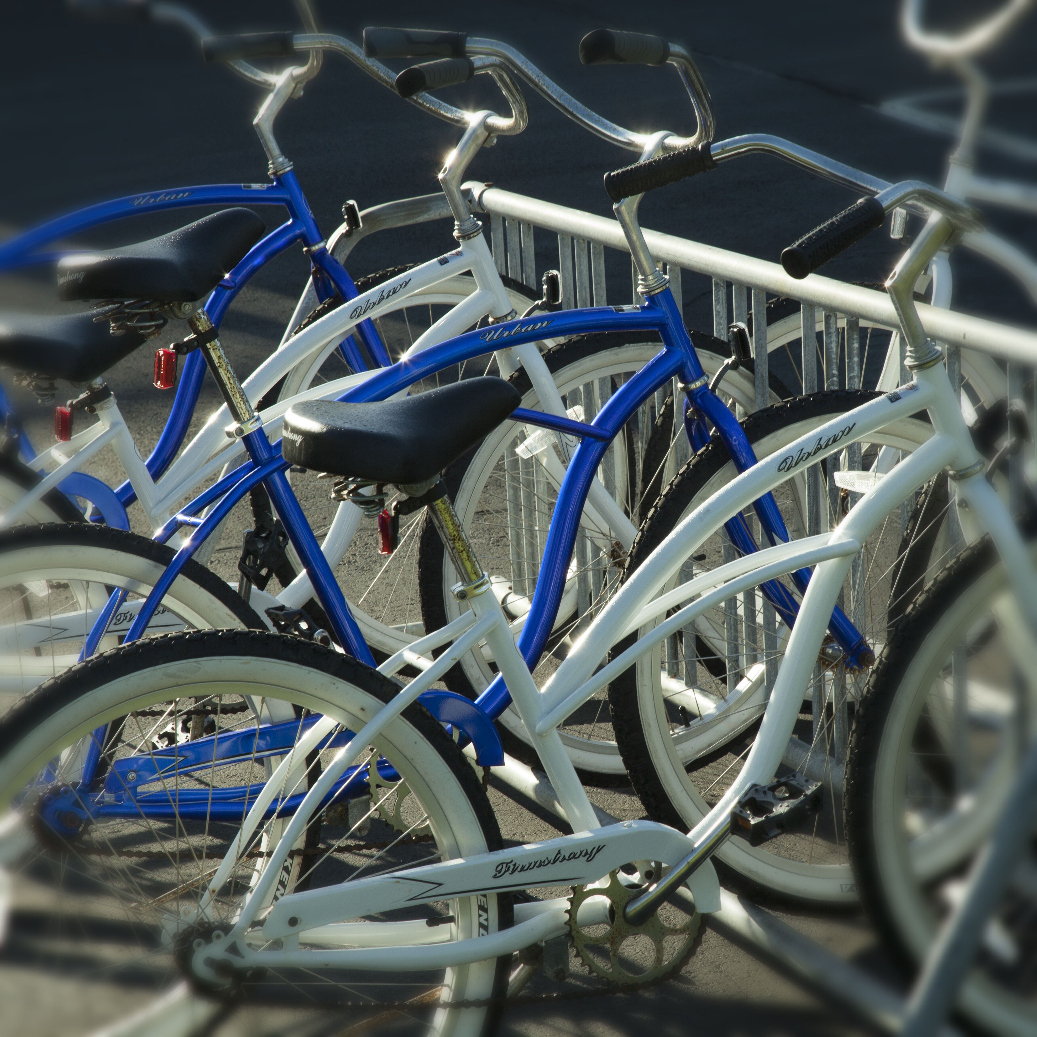 A row of bicycles parked closely together.